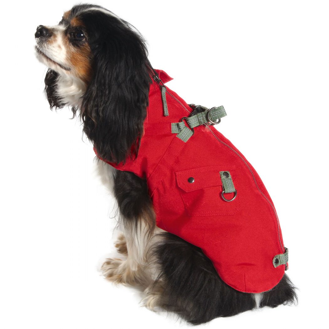 Top 35 Winter Clothes for Dogs Pouted