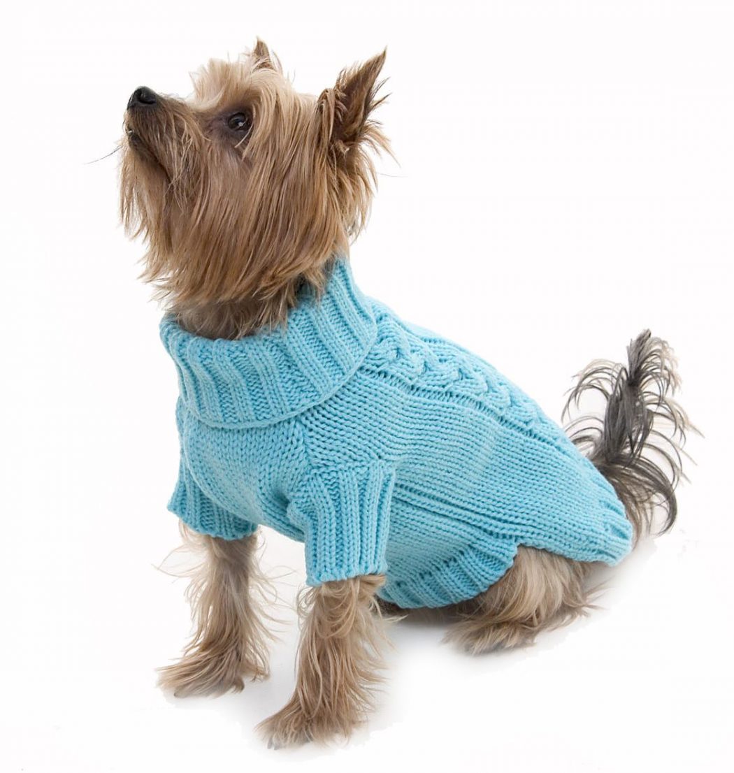 Turquoisecablejumperfullscreen Top 35 Winter Clothes for Dogs