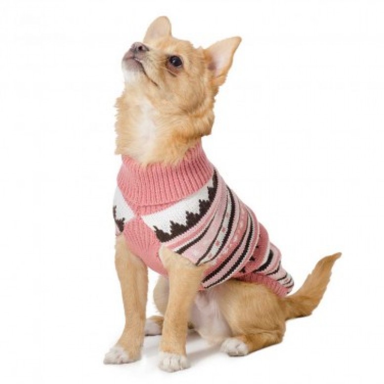 ancol_alpine_knit_pint_dog_jumper Top 35 Winter Clothes for Dogs