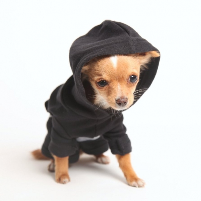 crossbrush_doggie_hoodie_by_deviantwear-d4h3jb0 Top 35 Winter Clothes for Dogs