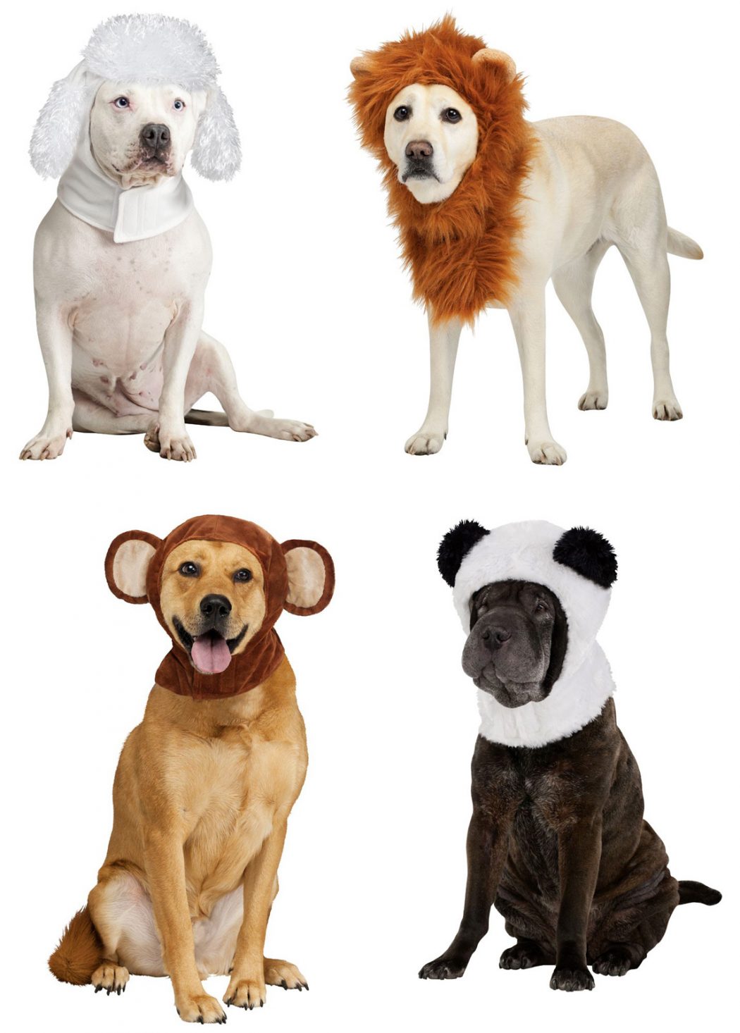 Top 35 Winter Clothes for Dogs 40 houndhoodieFW90052