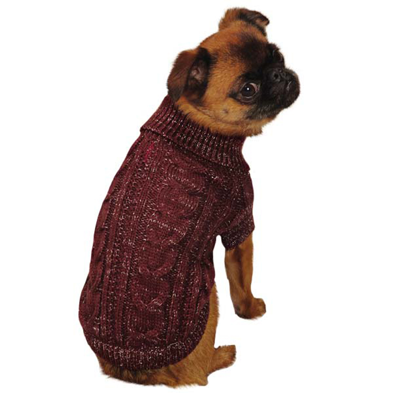 Top 35 Winter Clothes for Dogs