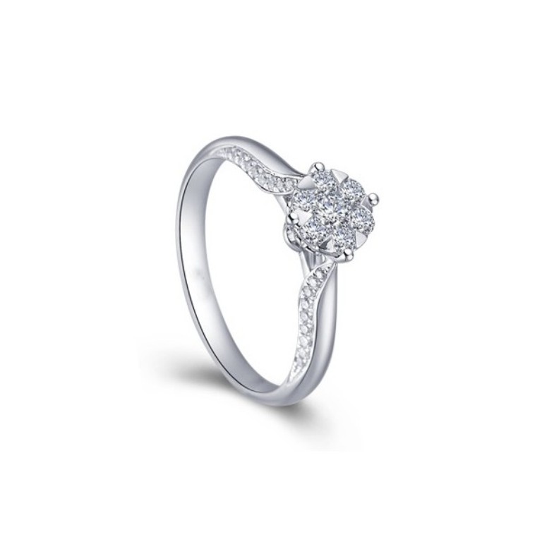 Cluster Engagement Rings for Those who Are on a Budget 18 luxurious-cluster-halo-diamond-engagement-ring-for-women.