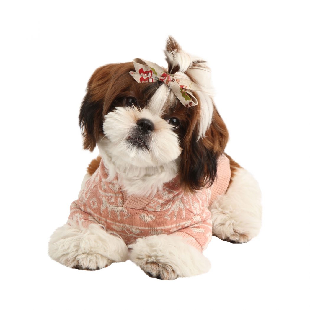 namd-ts6152-1800 Top 35 Winter Clothes for Dogs