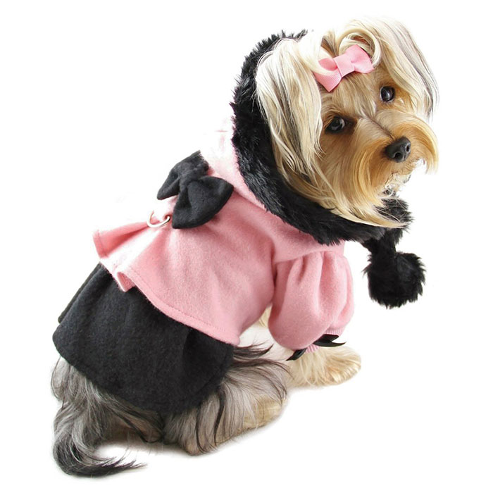 princess_dress_coat_with_hood Top 35 Winter Clothes for Dogs