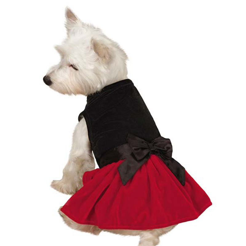 zack-zoey-velvet-bow-dog-dress-1 Top 35 Winter Clothes for Dogs