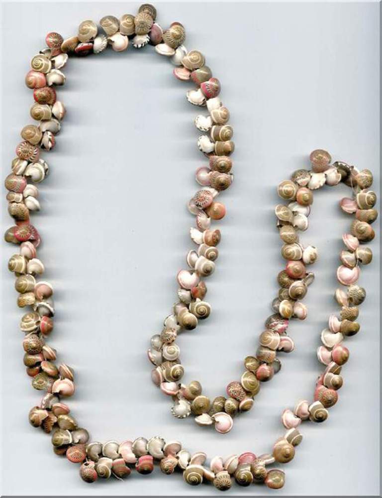 sea-shell-necklace1