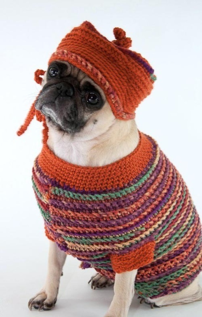 05044eb218cec9b09998bb82e059eafe.600x Top 25 Breathtaking Dog Sweaters for Your Dog