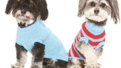 Top 25 Breathtaking Dog Sweaters for Your Dog 27 Copy of Reknitz Christmas Sweater sale 2012 2013 Top 25 Breathtaking Dog Sweaters for Your Dog - 27