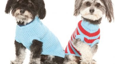 Copy of Reknitz Christmas Sweater sale 2012 2013 Top 25 Breathtaking Dog Sweaters for Your Dog - 8