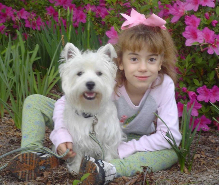 MontanaDarby2584W 5 Most Hidden Facts About Westie Puppies ... [Exclusive]