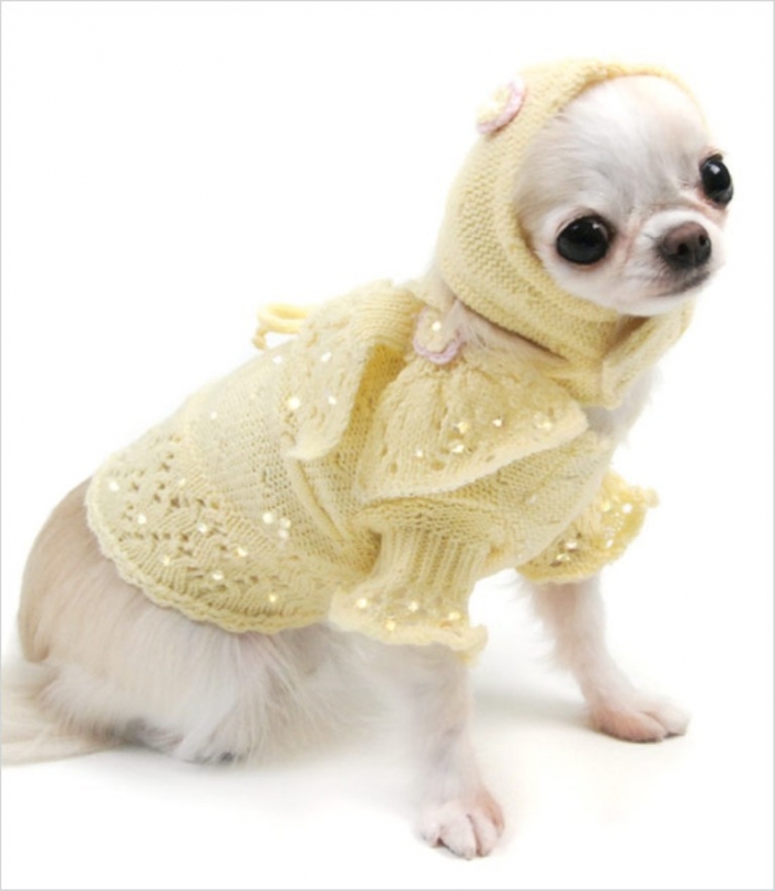 Oscar-Newman-Buttercup-Baby-Dog-Sweater-Set_pu Top 25 Breathtaking Dog Sweaters for Your Dog