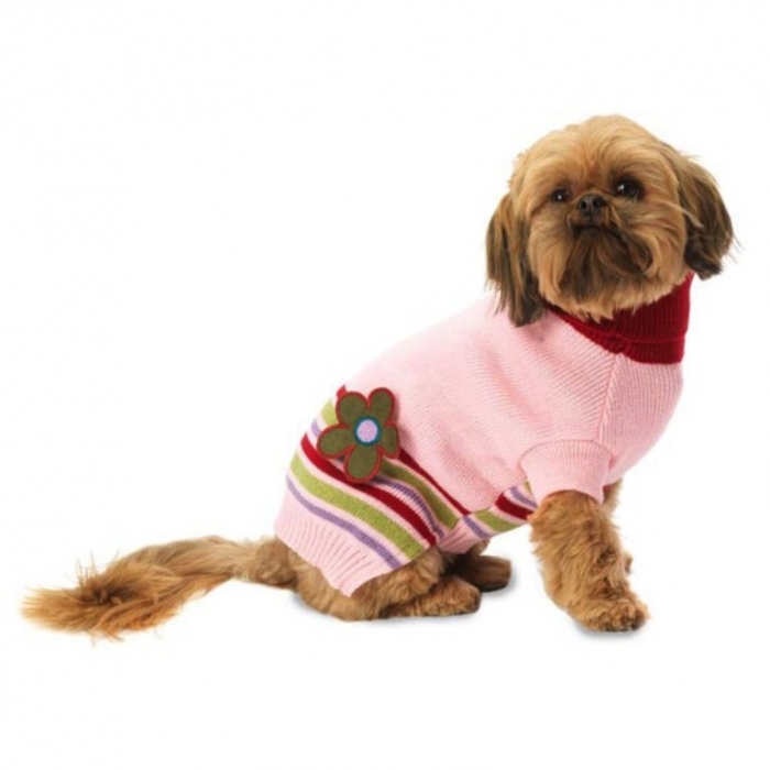 PetRageous-Designs-Aj’s-Applique-Dog-Sweater Top 25 Breathtaking Dog Sweaters for Your Dog