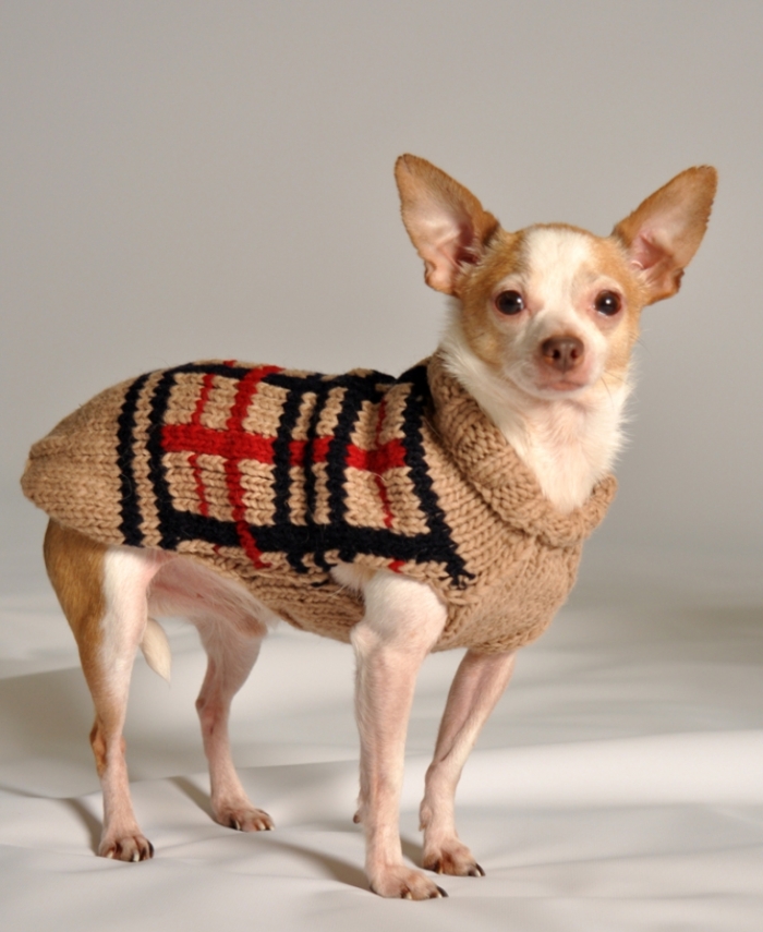 TAN-PLAID Top 25 Breathtaking Dog Sweaters for Your Dog