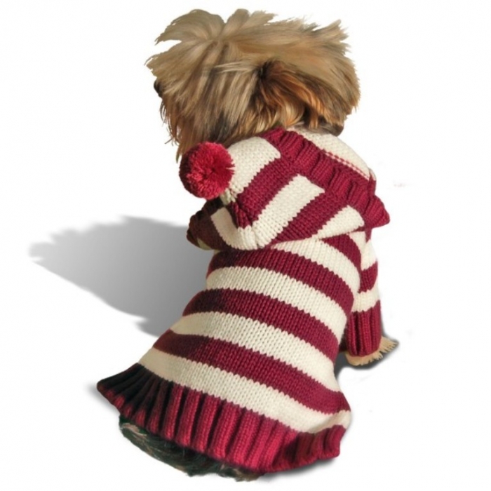 burgundy-stripe-dog-hoodie-sweater Top 25 Breathtaking Dog Sweaters for Your Dog