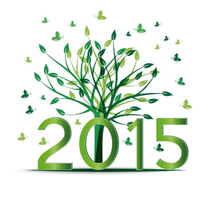 Best 25 Happy New Year Greeting Cards 25 happy-new-year-2015-free-HD-wallpaper