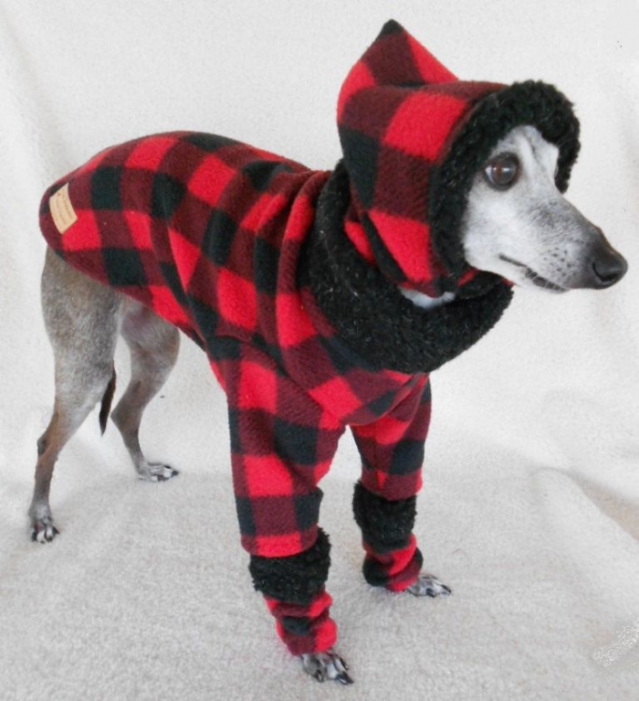 il_fullxfull.280793295_grande Top 25 Breathtaking Dog Sweaters for Your Dog