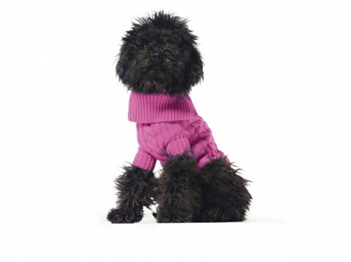 is-your-pet-sporty-or-posh-benetton-dog-sweater-2