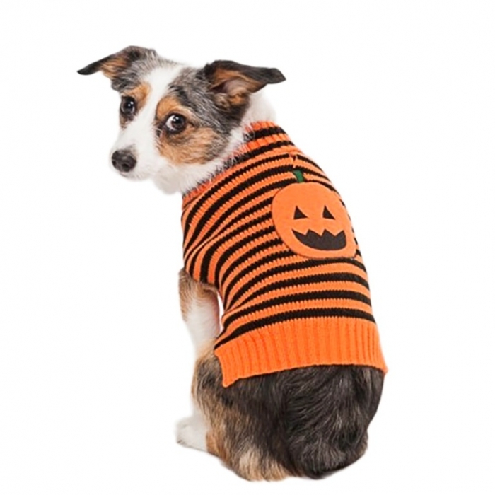 lookin-good-striped-pumpkin-dog-sweater