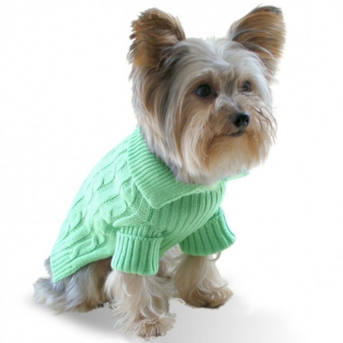 pistachio-green-dog-aran-sweater Top 25 Breathtaking Dog Sweaters for Your Dog