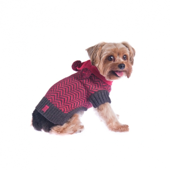 varsity-girl-dog-sweater-with-scarf-1 Top 25 Breathtaking Dog Sweaters for Your Dog