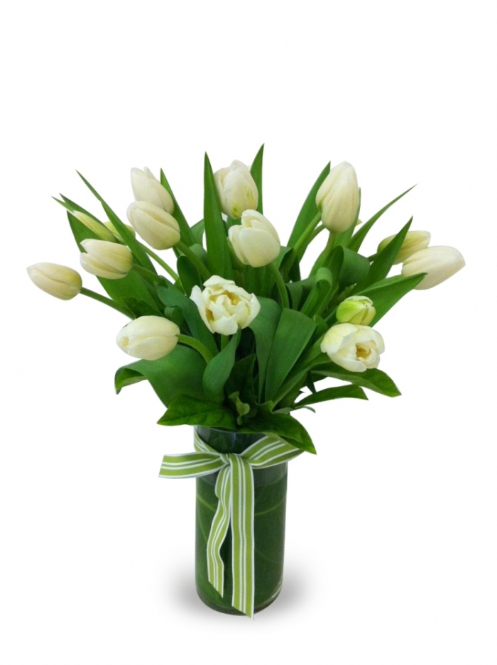 How to Increase the Beauty of White Tulip Flowers 11 02_tulip