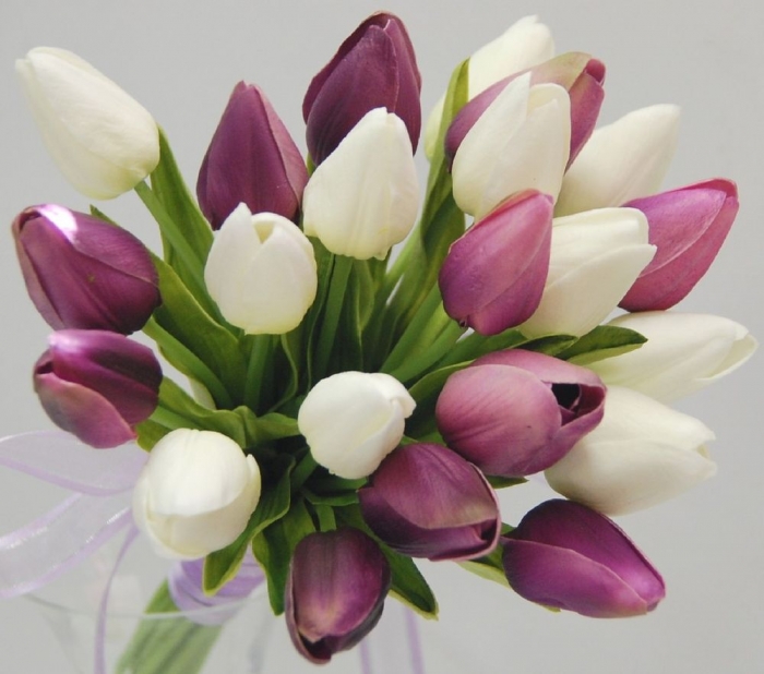 1000x1000 How to Increase the Beauty of White Tulip Flowers