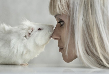 133157 kobieta biala winka morska Why Are the White Rats Extremely Important? - experiments 1