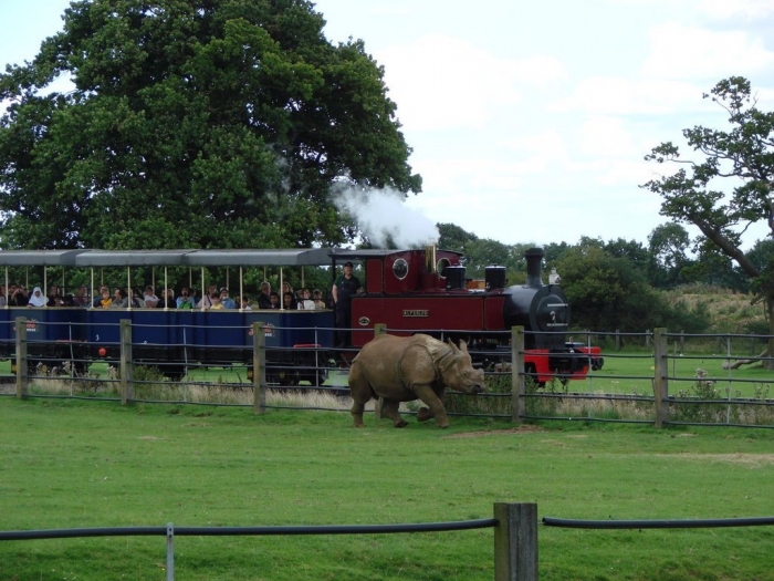 13326435 What Whipsnade Zoo Leaves Its Animals to Do!