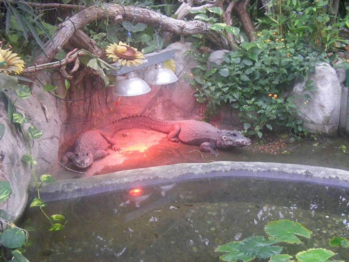 2010_11110278-127127