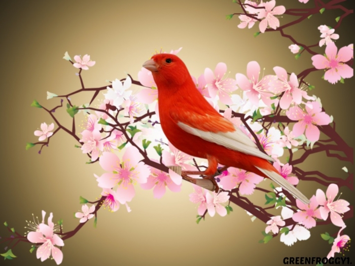 “ Canary” The Bird of Kings, Rich People & Miners 17 427071