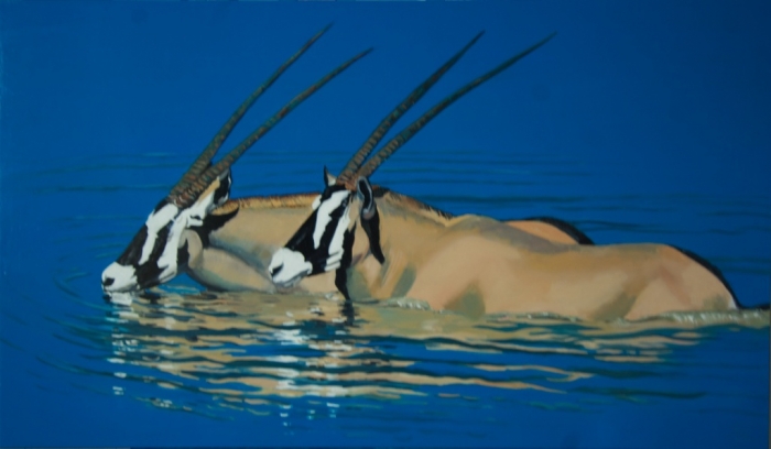 The Arabian Oryx Returns Back to Life 10 6-oryx-botswanam