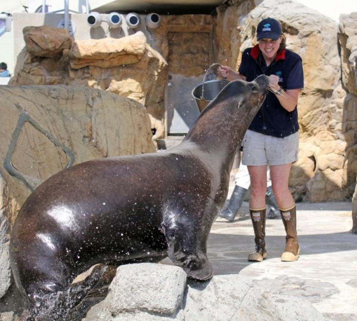 Is It “Sea Lions Or Sea Bears” You Have to Decide 16 Big_Parker_and_Megan_770_694_80auto_c1_c_c_0_0_1