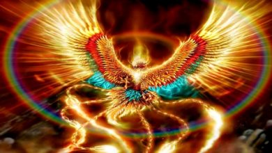 Copy of rising phoenix New Facts You Don't Know about the Legend of the Phoenix - 7 Mystical eyes