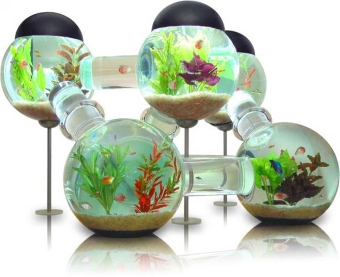 Fish-Tank-Decoration-Ideas How to Decorate Your Boring Fish Tank