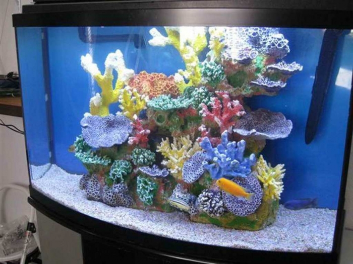 Fish-Tank-Decoration-Pictures-with-the-coral