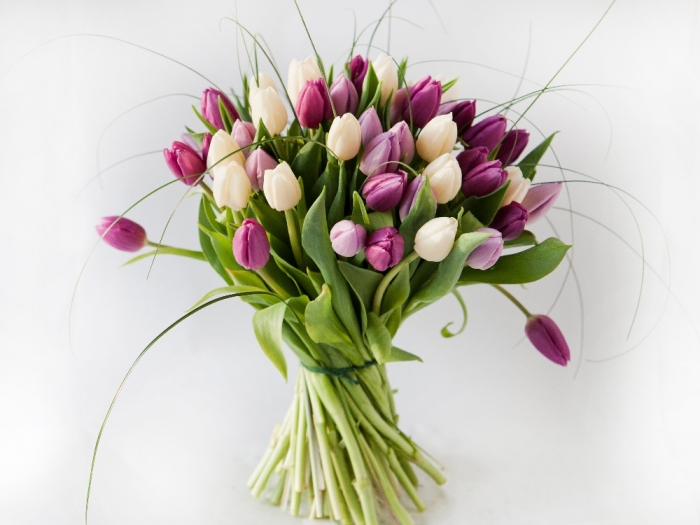 How to Increase the Beauty of White Tulip Flowers 15 IMG_5891g