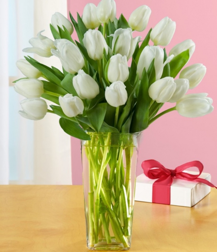 How to Increase the Beauty of White Tulip Flowers 10 PF_13_0000000T1520_VA0606_W1_PF