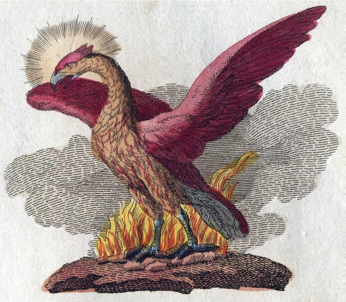 Phoenix-Fabelwesen New Facts You Don't Know about the Legend of the Phoenix
