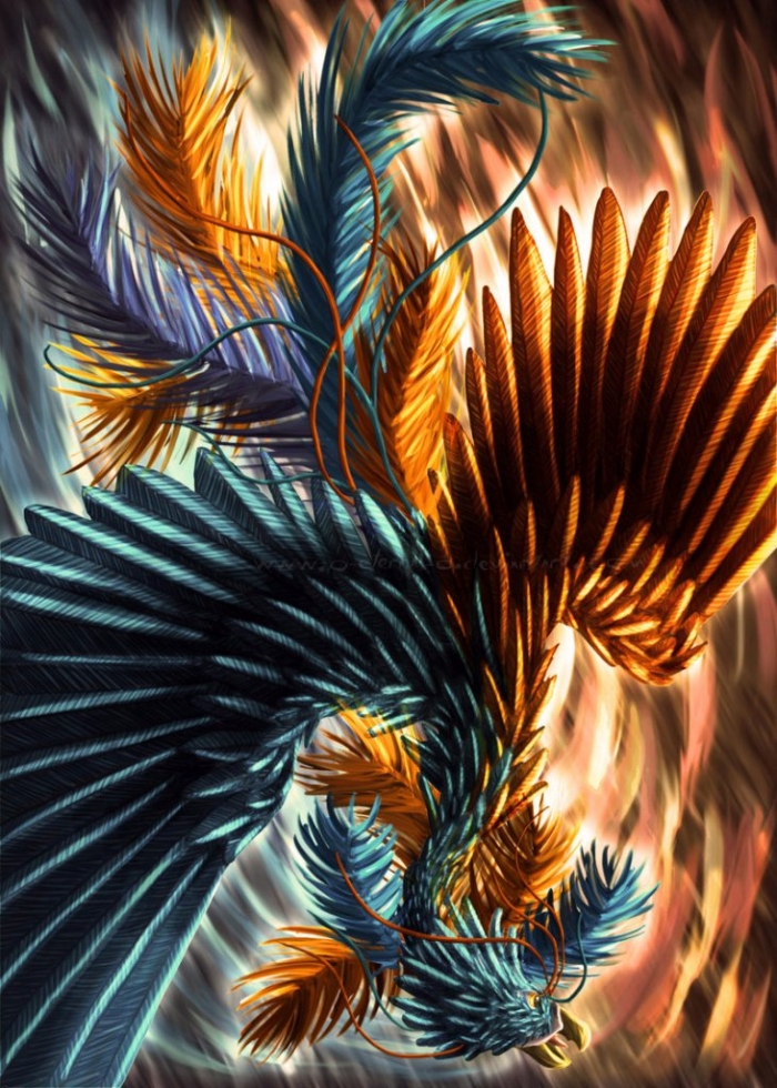 Phoenix_Bird_by_o_eternal_o New Facts You Don't Know about the Legend of the Phoenix