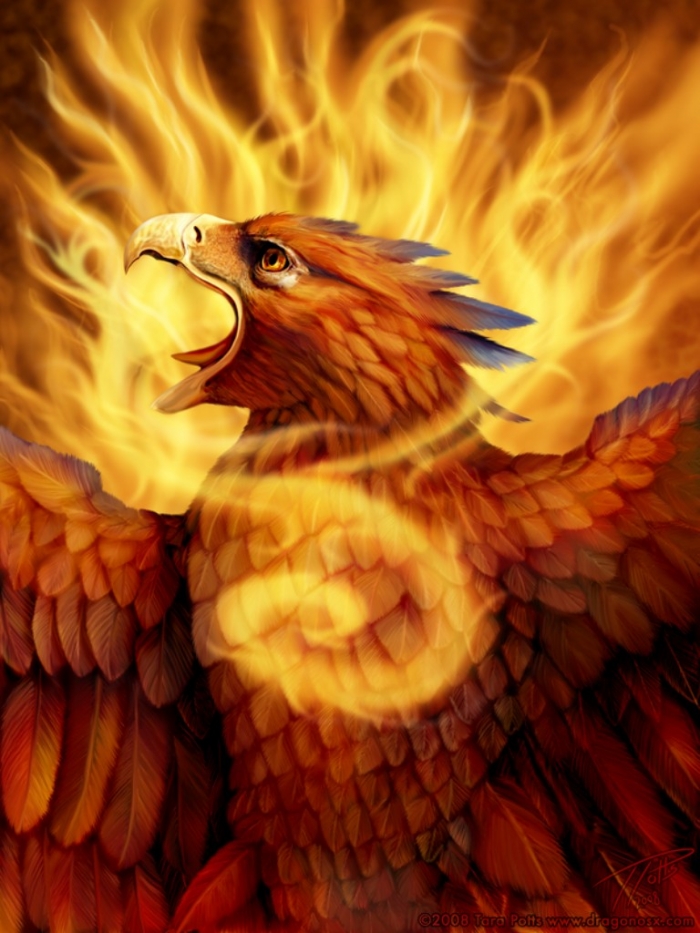 Phoenix_portrait_by_DragonosX New Facts You Don't Know about the Legend of the Phoenix