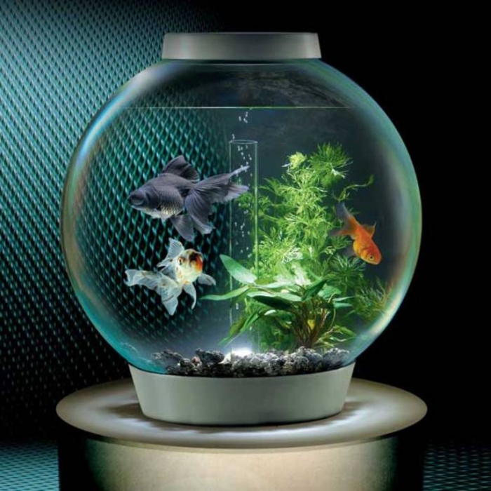 Tiny-Fish-Bowl-On-The-Table How to Decorate Your Boring Fish Tank