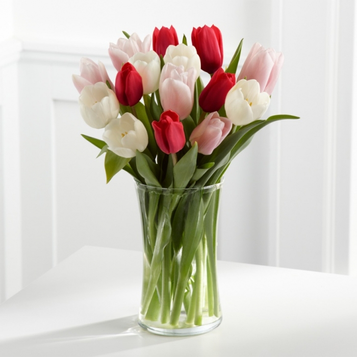 How to Increase the Beauty of White Tulip Flowers 18 WGTULRWP
