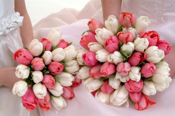 Wedding-Bouquet-with-pink-and-white-Tulips How to Increase the Beauty of White Tulip Flowers
