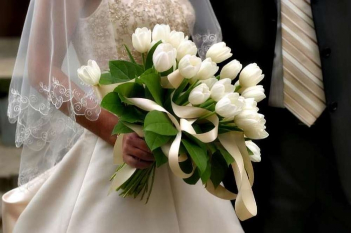 How to Increase the Beauty of White Tulip Flowers 12 White+tulips+flowers.+(3)