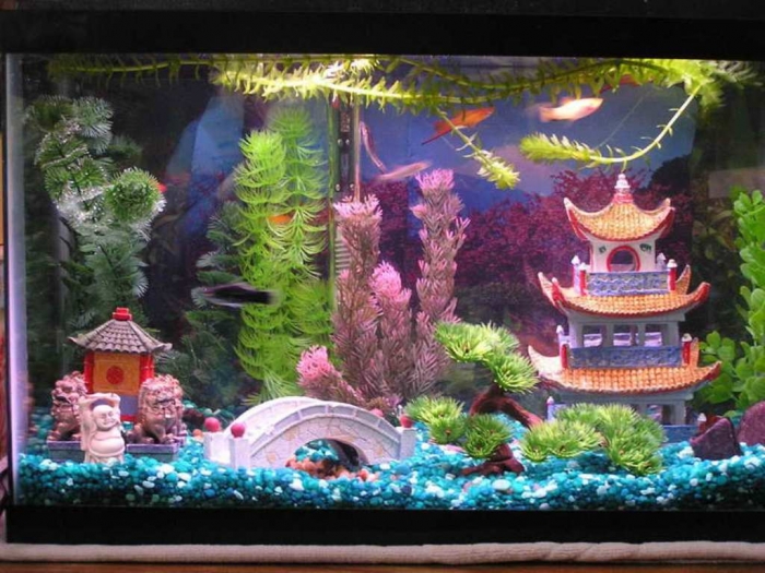 aquarium-decoration-themes-cool-dragon-chinese-aquarium-decoration800-x-600-76-kb-jpeg-x How to Decorate Your Boring Fish Tank