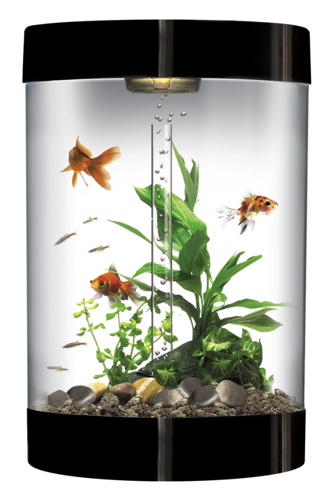 biube_blk_hi-res How to Decorate Your Boring Fish Tank