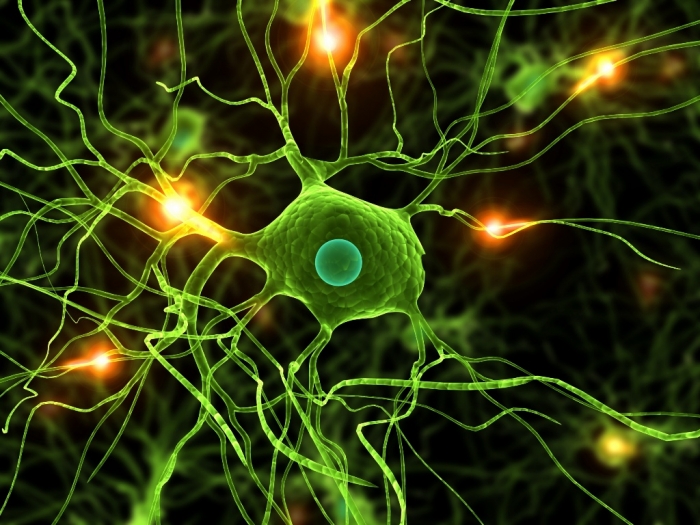 How To Cure and What To Avoid in Parkinson’s Disease? 2 parkinsons-disease1