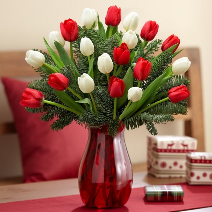 How to Increase the Beauty of White Tulip Flowers 19 red-and-white-tulip-bouquet-3