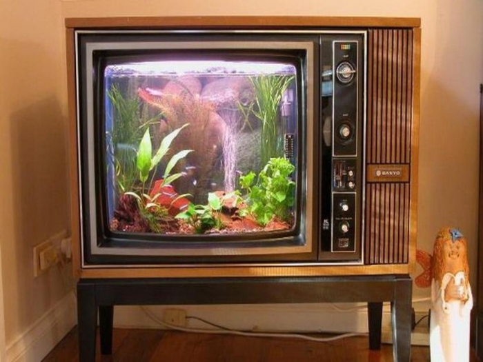 the-stunning-photo-above-is-segment-of-aquarium-decoration-ideas800-x-600-67-kb-jpeg-x